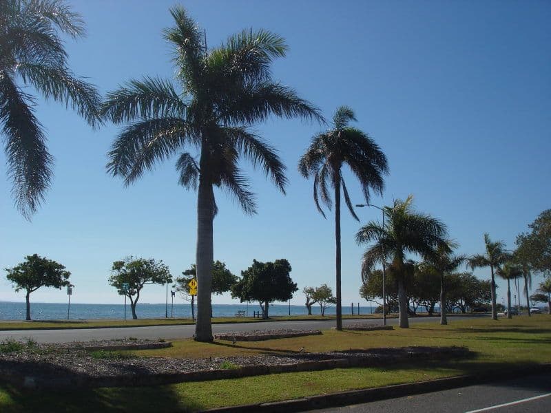 82 Uplands Terrace, WYNNUM QLD 4178, Wynnum - Thumbnail 6