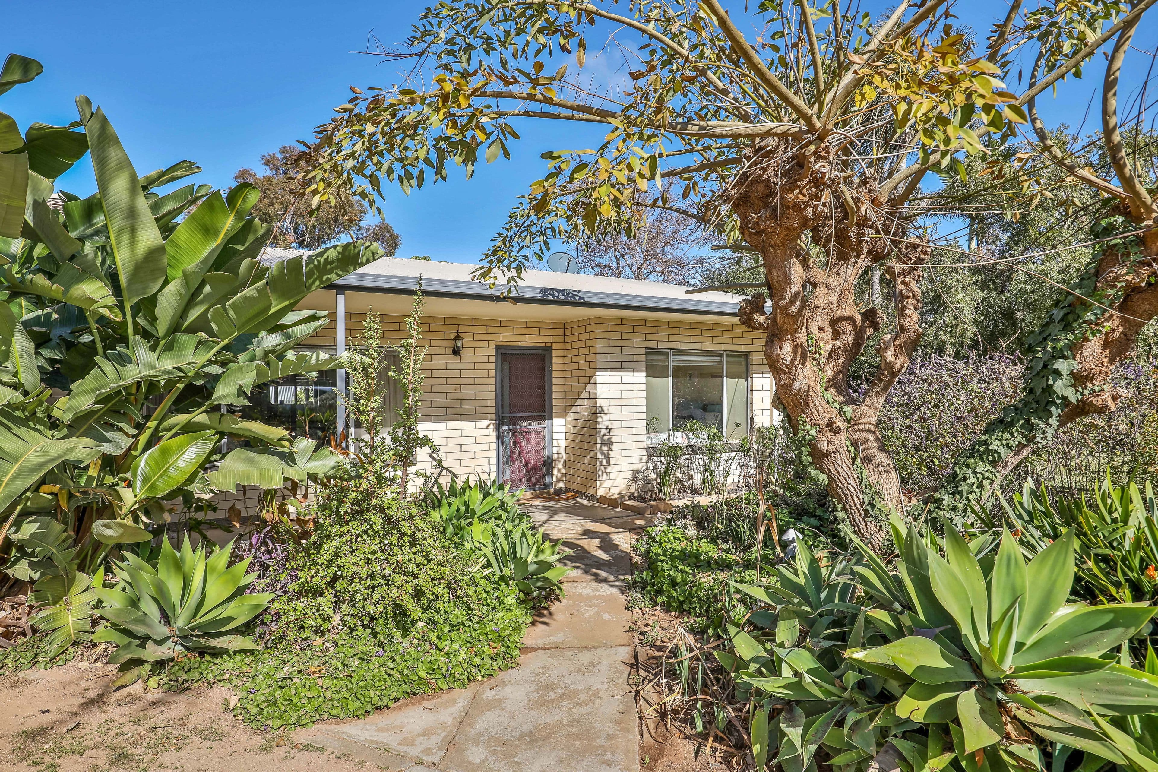 3 Palm Court, Merbein VIC 3505, Merbein - Thumbnail 3