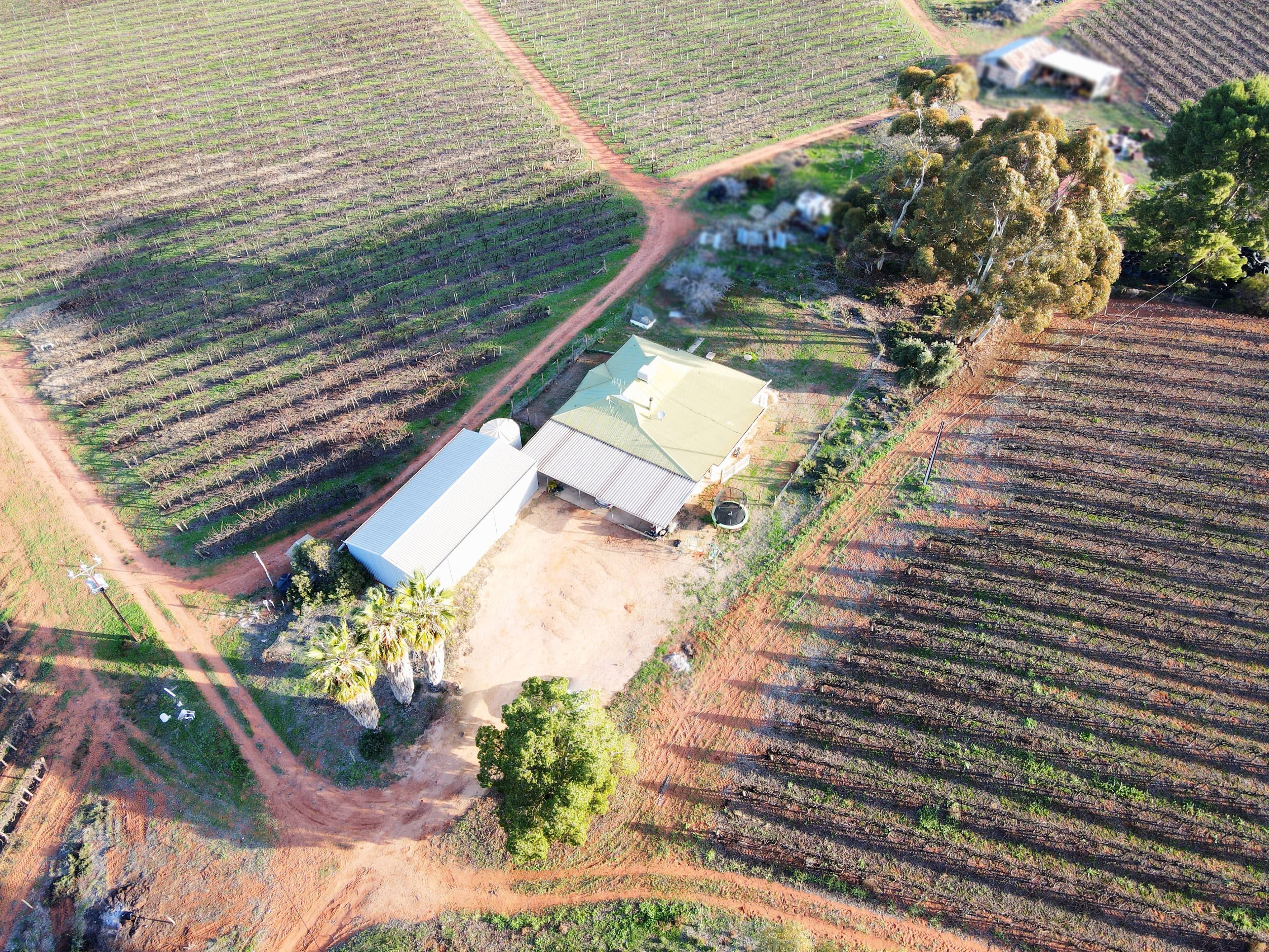 17799 Sturt Highway, Barmera SA 5345, Barmera - Image 1
