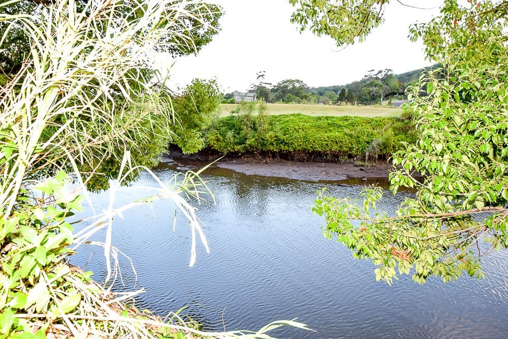457 Bli Bli Road, Bli Bli QLD 4560, Bli Bli - Thumbnail 7