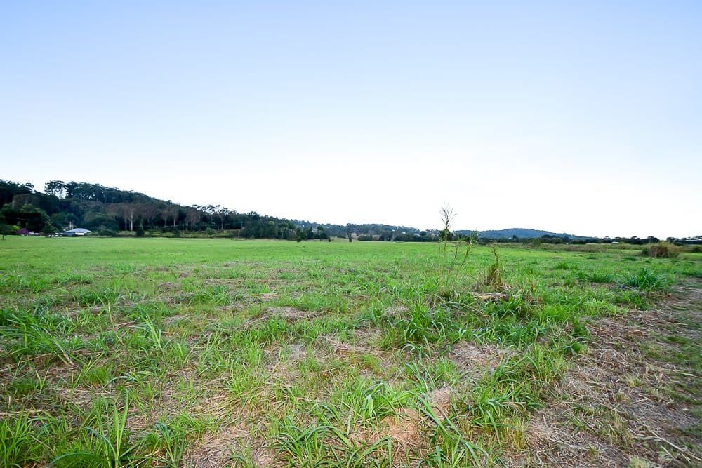 457 Bli Bli Road, Bli Bli QLD 4560, Bli Bli - Thumbnail 8