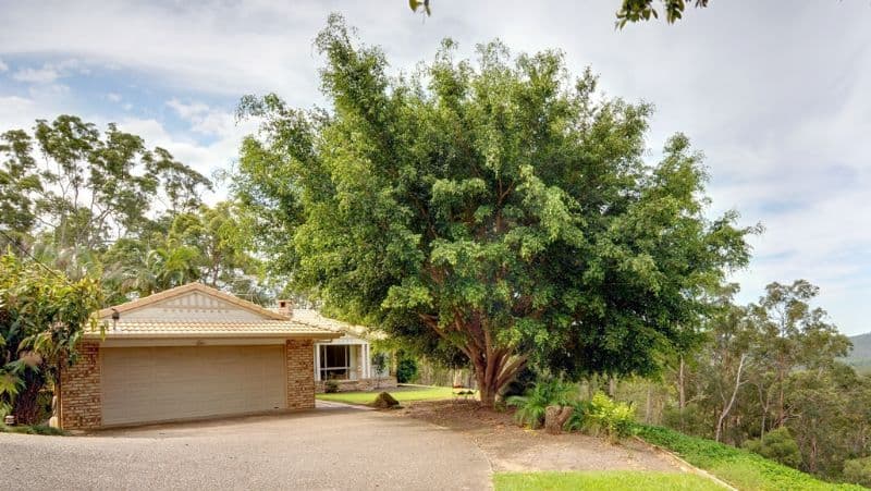 378 Tunnel Ridge Road, MOOLOOLAH VALLEY QLD 4553, Mooloolah Valley - Thumbnail 3