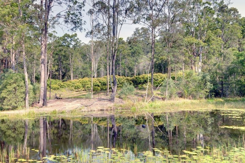 378 Tunnel Ridge Road, MOOLOOLAH VALLEY QLD 4553, Mooloolah Valley - Thumbnail 7