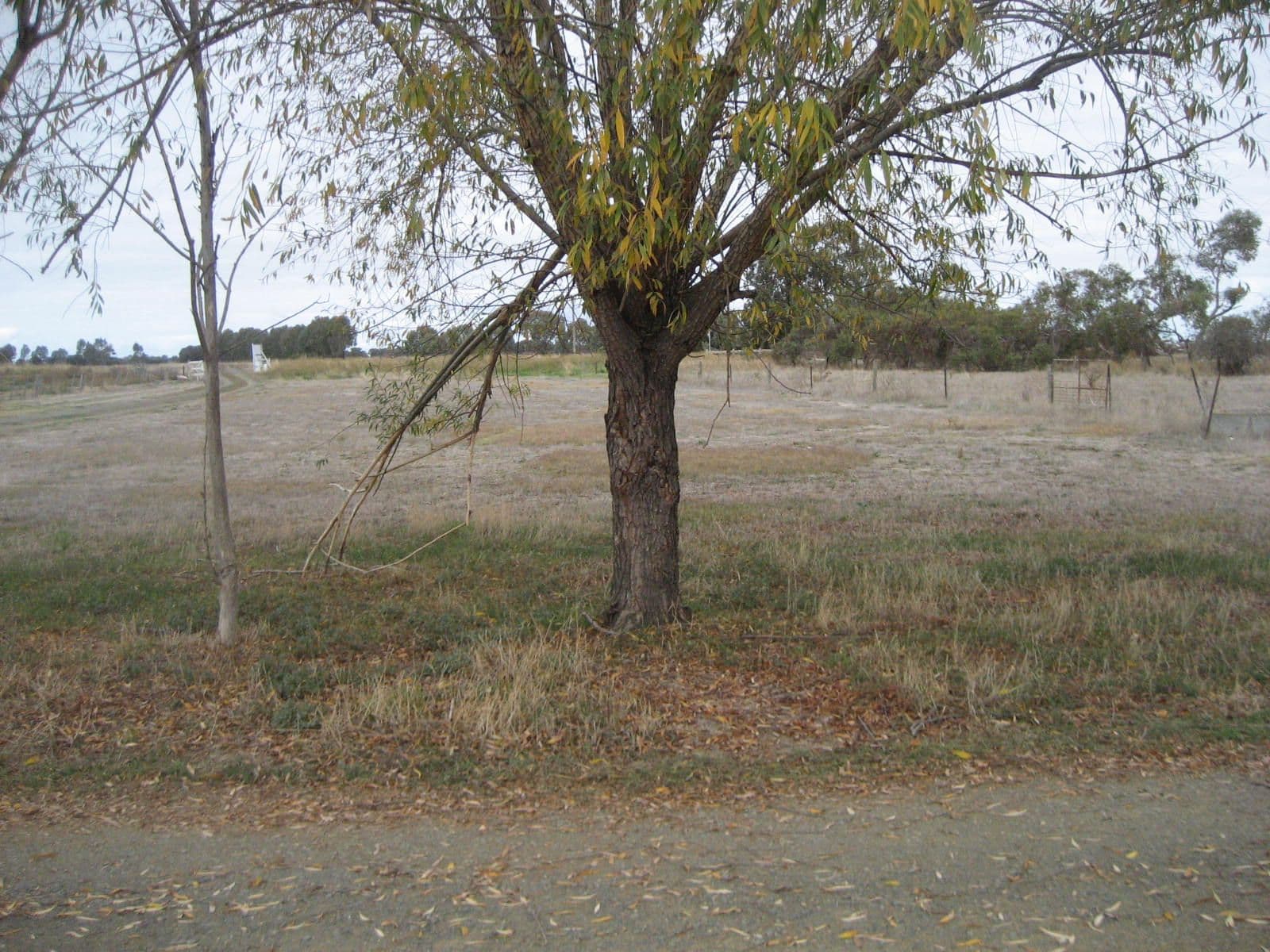 832 Hansen Road, BAMAWM VIC 3561, Bamawm - Thumbnail 3
