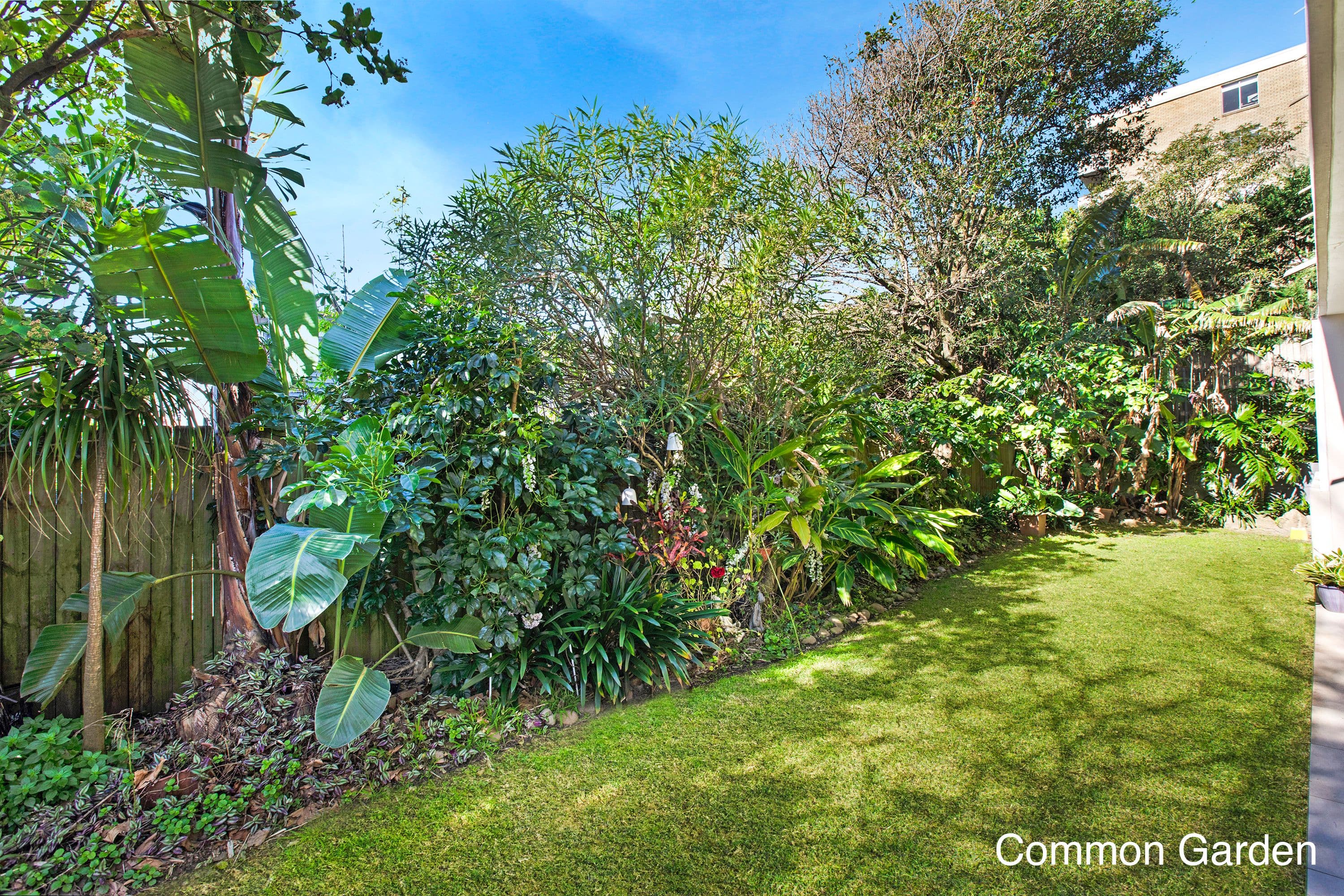 685 Old South Head Road, Vaucluse NSW 2030, Vaucluse - Thumbnail 7