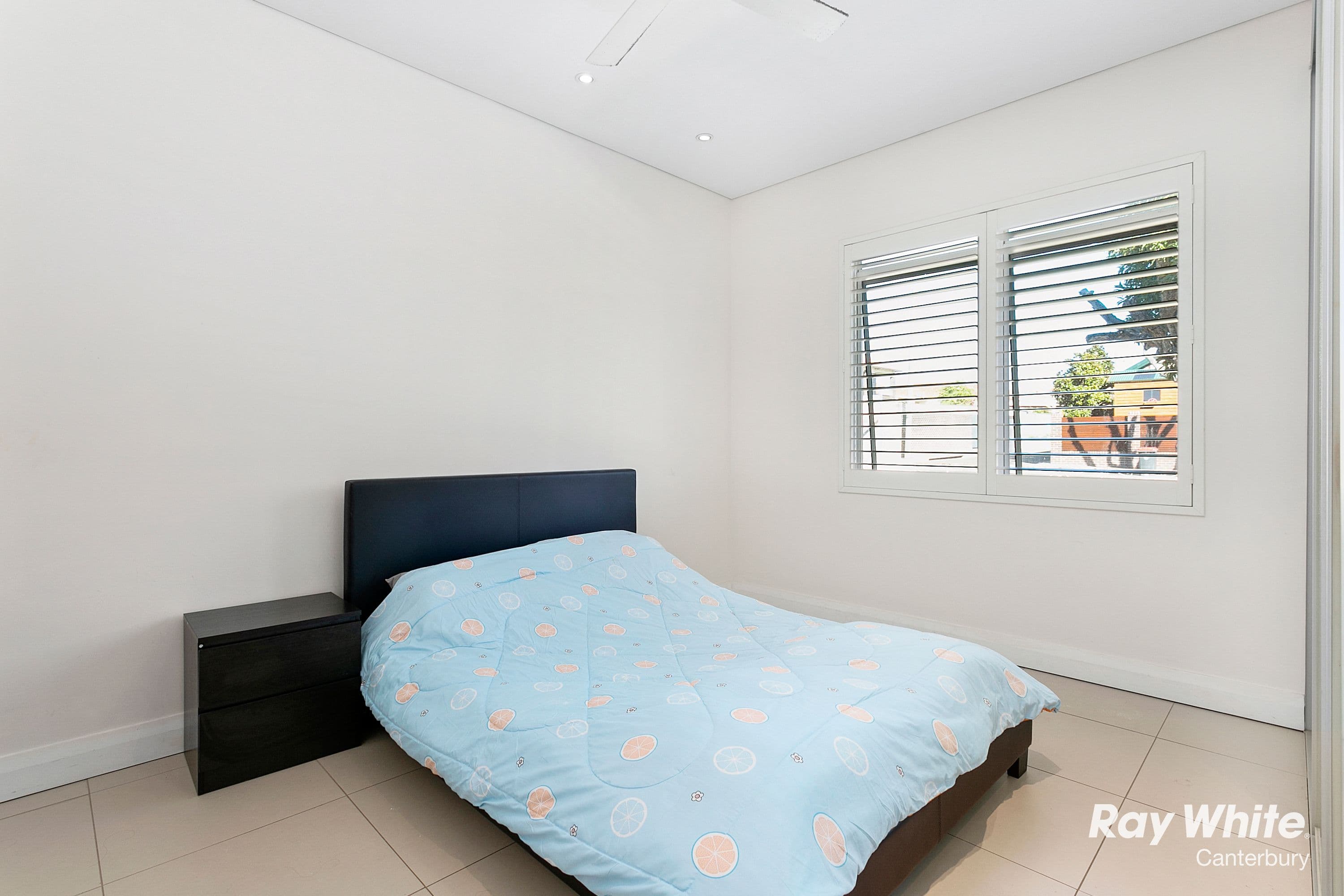 15 Wonga Street, Canterbury - Thumbnail 6