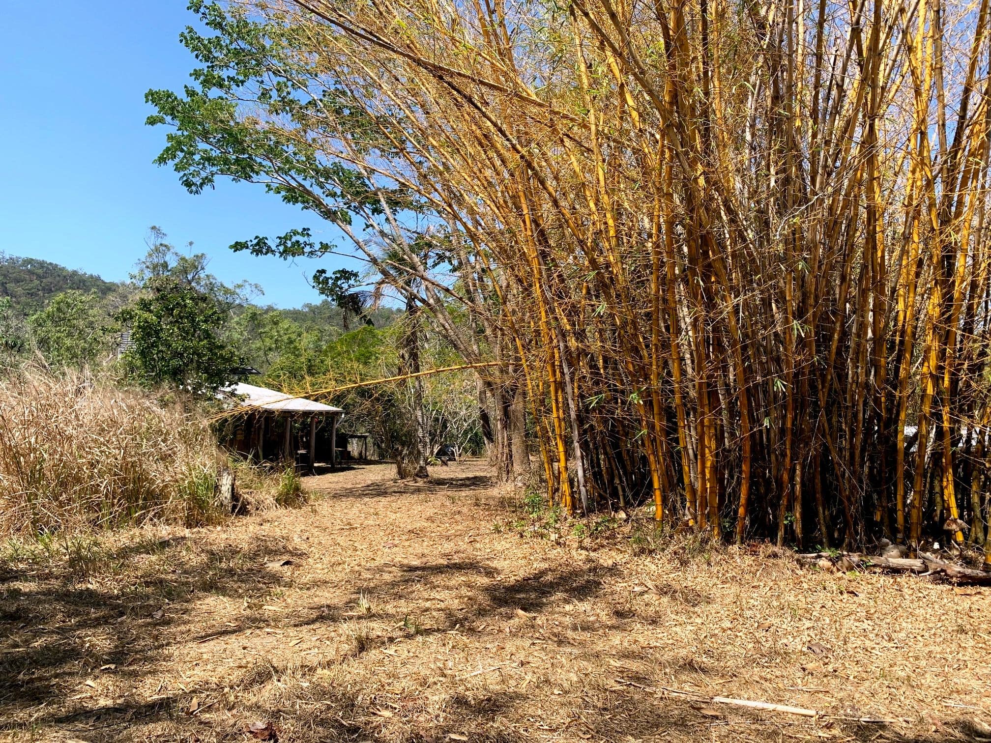Lot 2 Cedar Park Road, Koah QLD 4881, Koah - Image 1