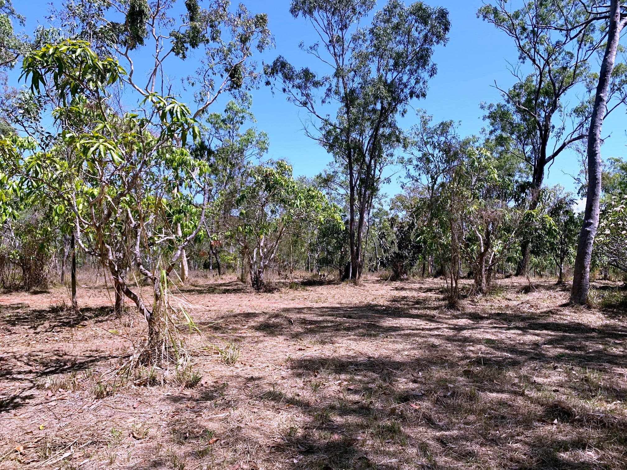 Lot 2 Cedar Park Road, Koah QLD 4881, Koah - Thumbnail 5