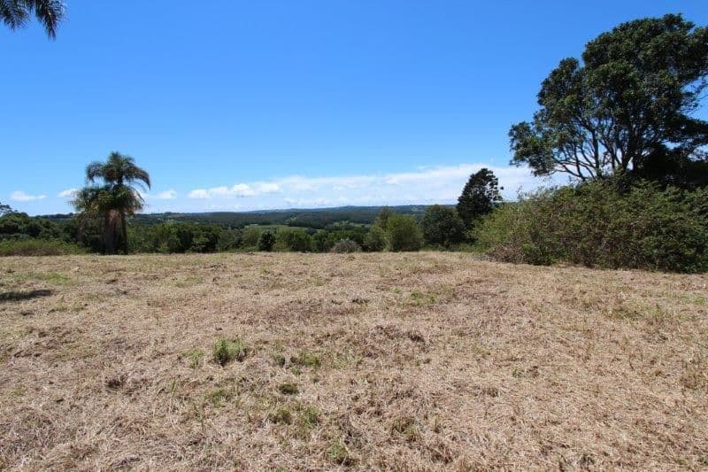 1573 Bangalow Road, CLUNES NSW 2480, Clunes - Thumbnail 5