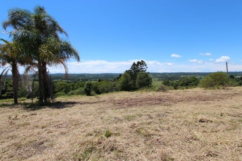 1573 Bangalow Road, CLUNES NSW 2480, Clunes - Thumbnail 6