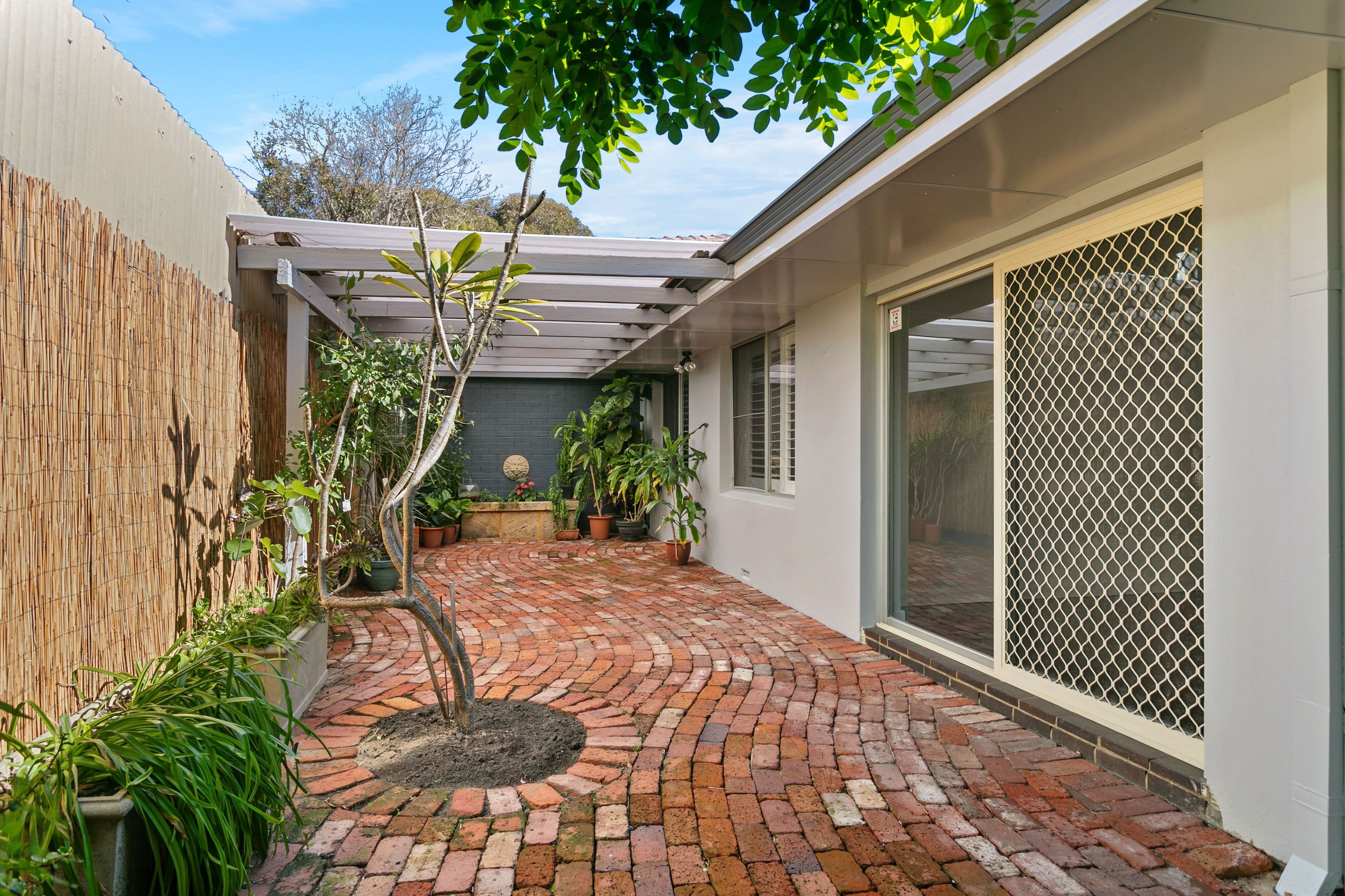 88 Alfred Road, Claremont WA 6010, Claremont - Thumbnail 3