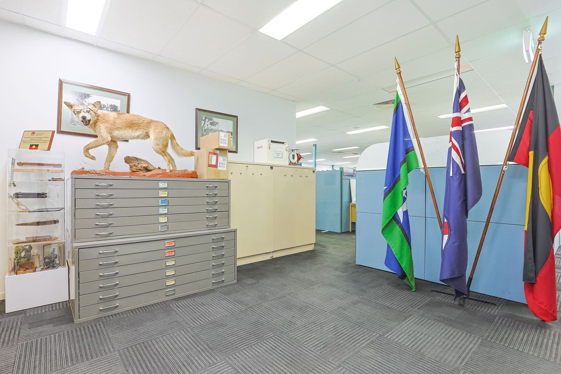 32 Enterprise Way, Buronga - Thumbnail 4