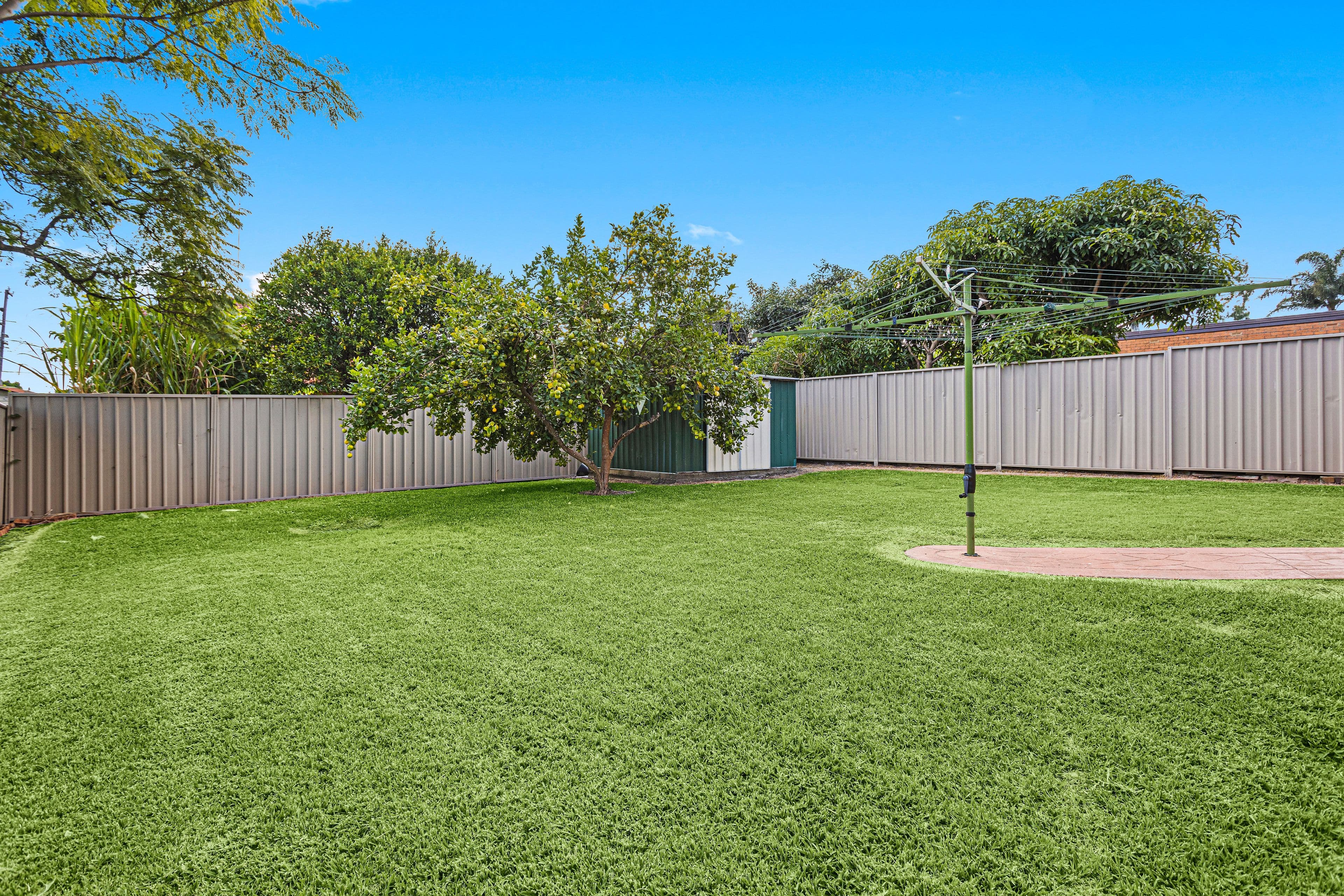 31 William Street, Rockdale NSW 2216, Rockdale - Thumbnail 6