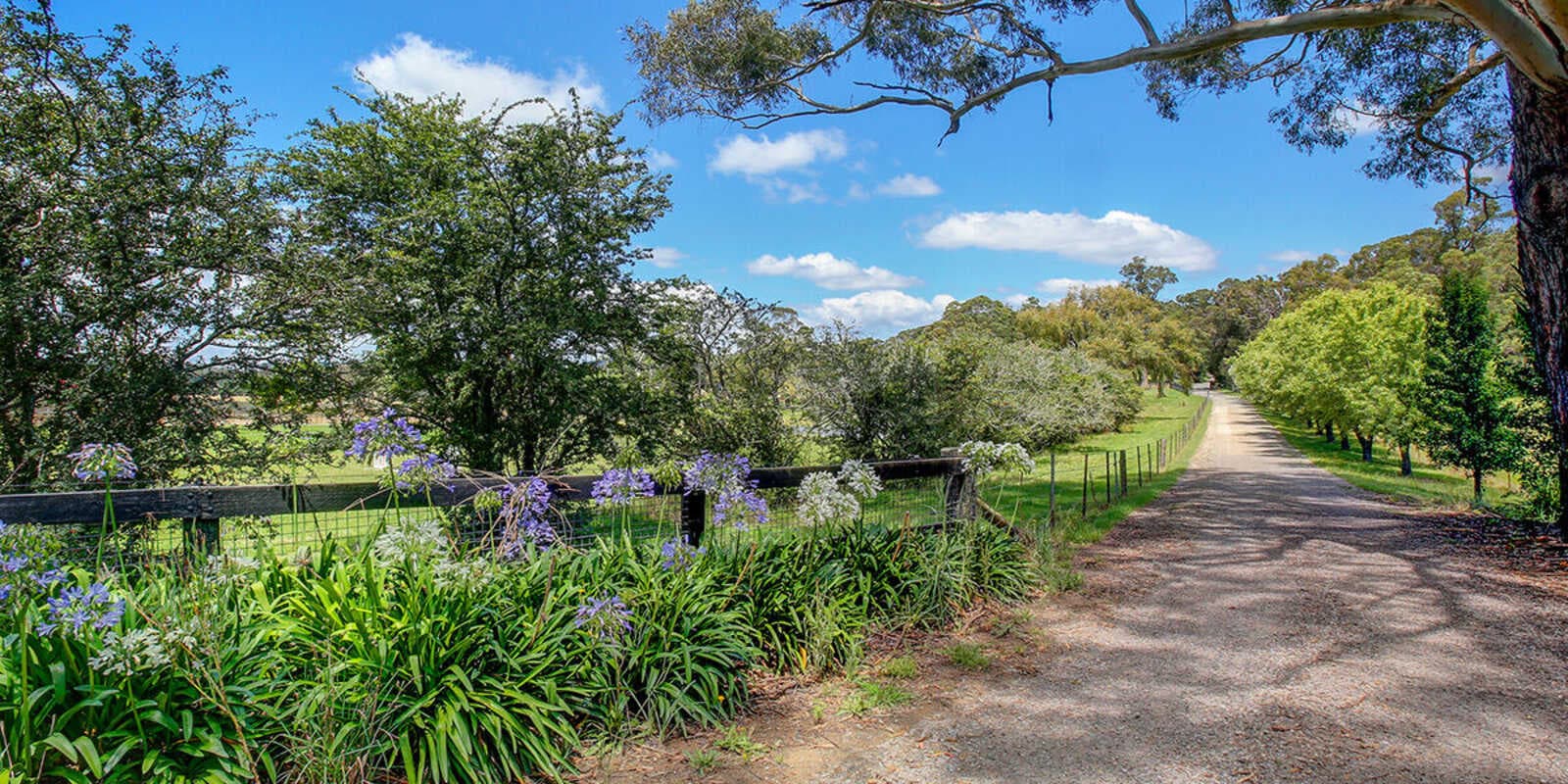 677 Nowra Road Moss Vale, Vale - Thumbnail 4