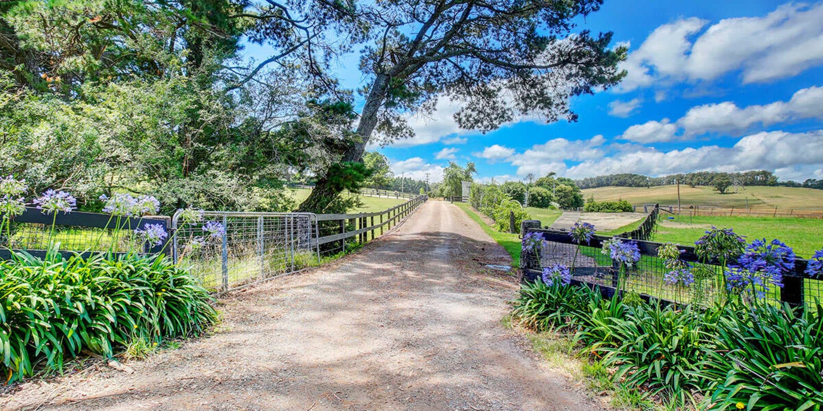 677 Nowra Road Moss Vale, Vale - Thumbnail 5