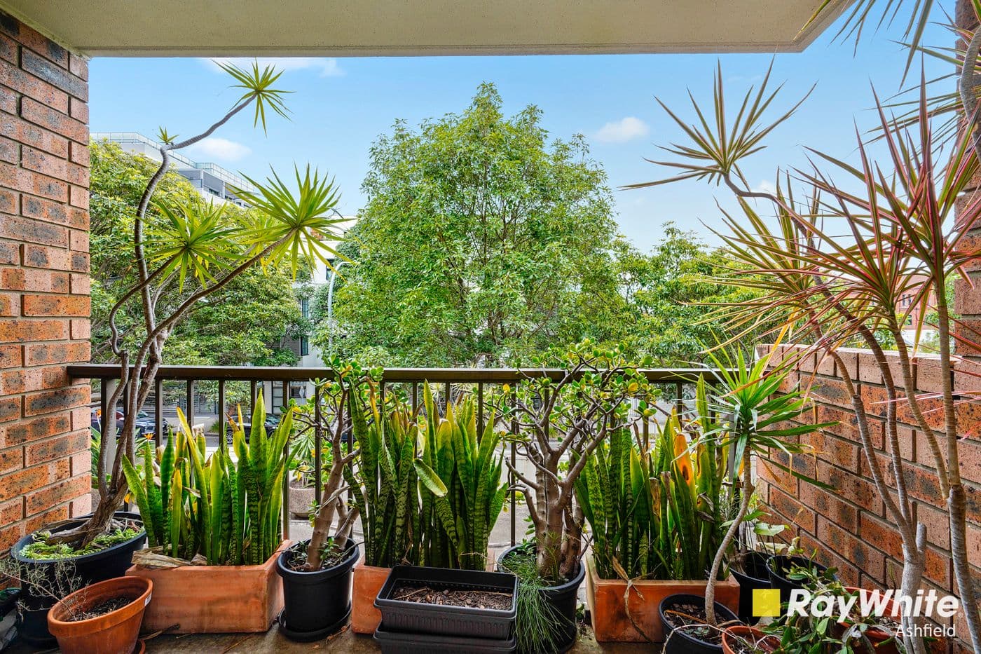 267 Bulwara Road, Ultimo NSW 2007, Ultimo - Thumbnail 2