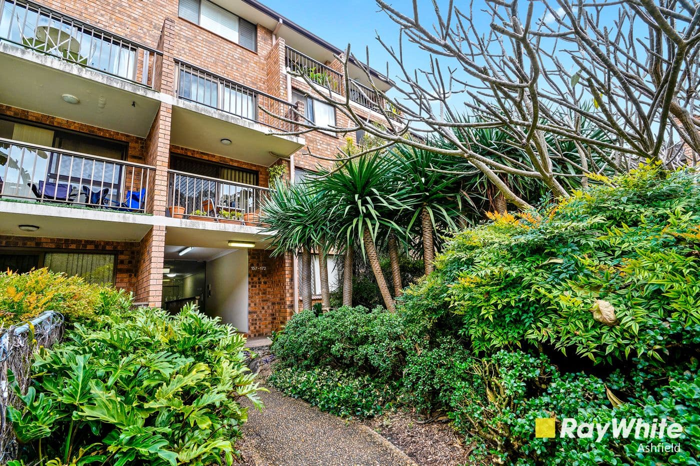 267 Bulwara Road, Ultimo NSW 2007, Ultimo - Thumbnail 6