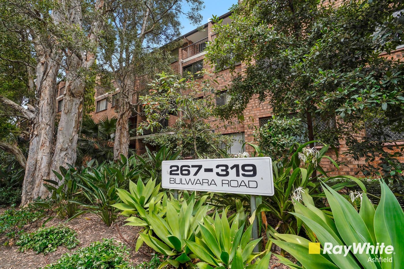 267 Bulwara Road, Ultimo NSW 2007, Ultimo - Thumbnail 8