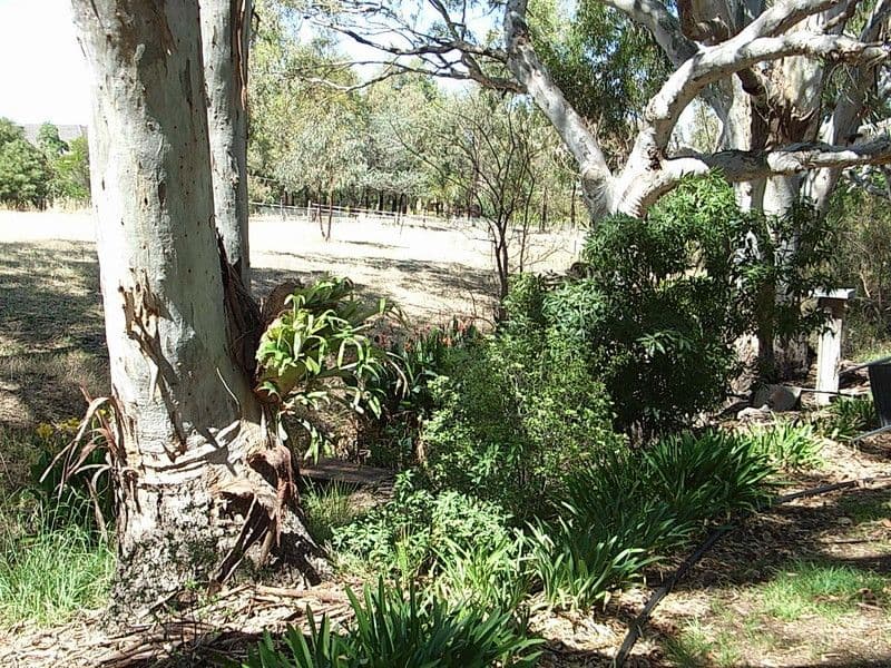 8774  Northern Highway, ECHUCA VIC 3564, Echuca - Thumbnail 4
