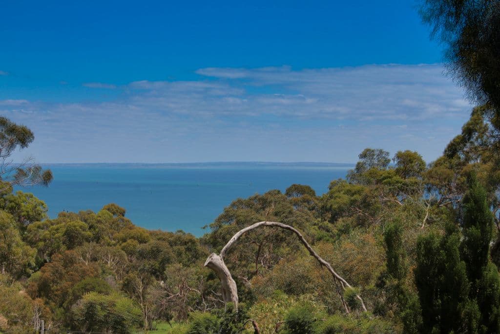16 Arthurs Avenue, MCCRAE VIC 3938, McCrae - Thumbnail 2