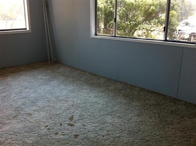 12 School Street, AMBY QLD 4462, Amby - Thumbnail 6