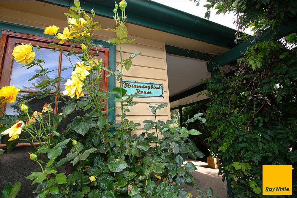 85 Gibraltar Street, Bungendore NSW 2621, Bungendore - Thumbnail 5