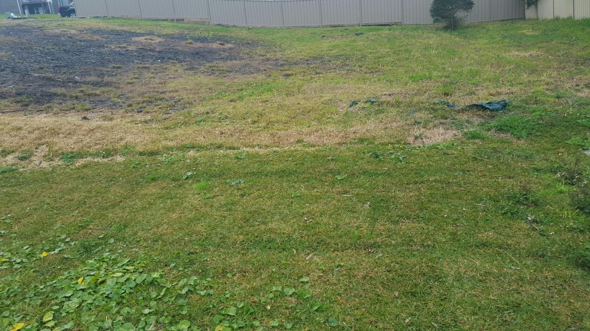 31 Nandu Boulevard, Corlette NSW 2315, Corlette - Thumbnail 2