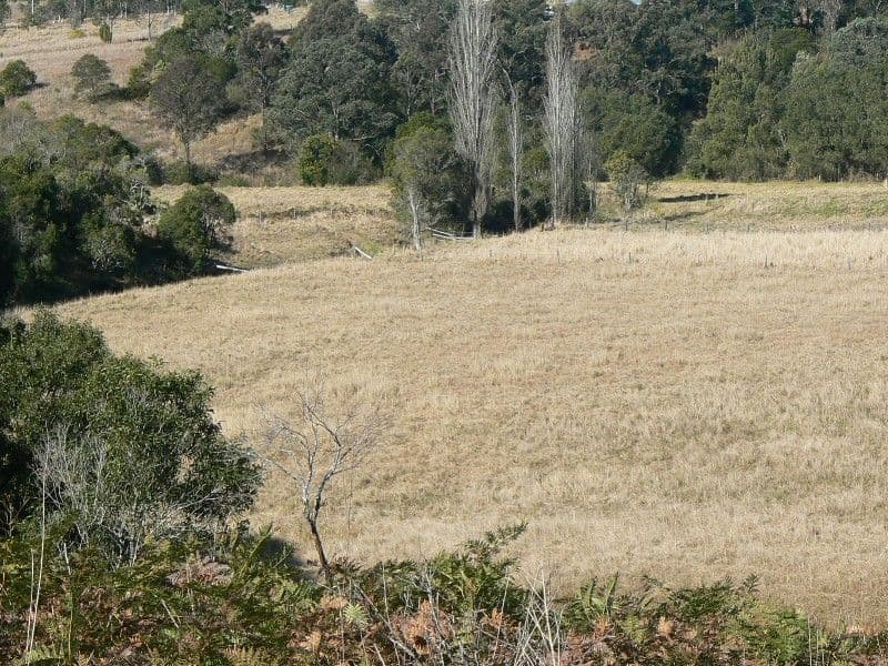 WHERROL FLAT NSW 2429, Wherrol Flat - Thumbnail 4