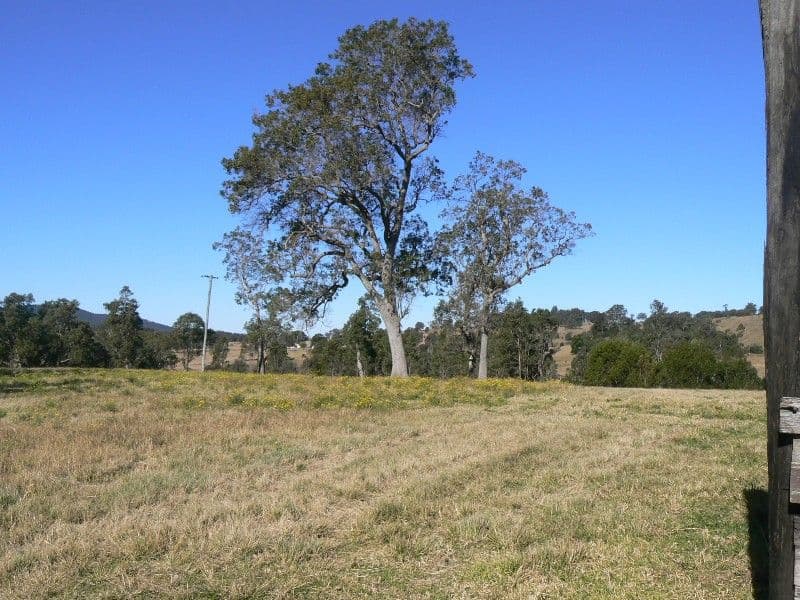 WHERROL FLAT NSW 2429, Wherrol Flat - Thumbnail 7