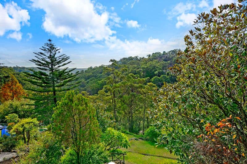 82 Norman Avenue, THORNLEIGH NSW 2120, Thornleigh - Thumbnail 2