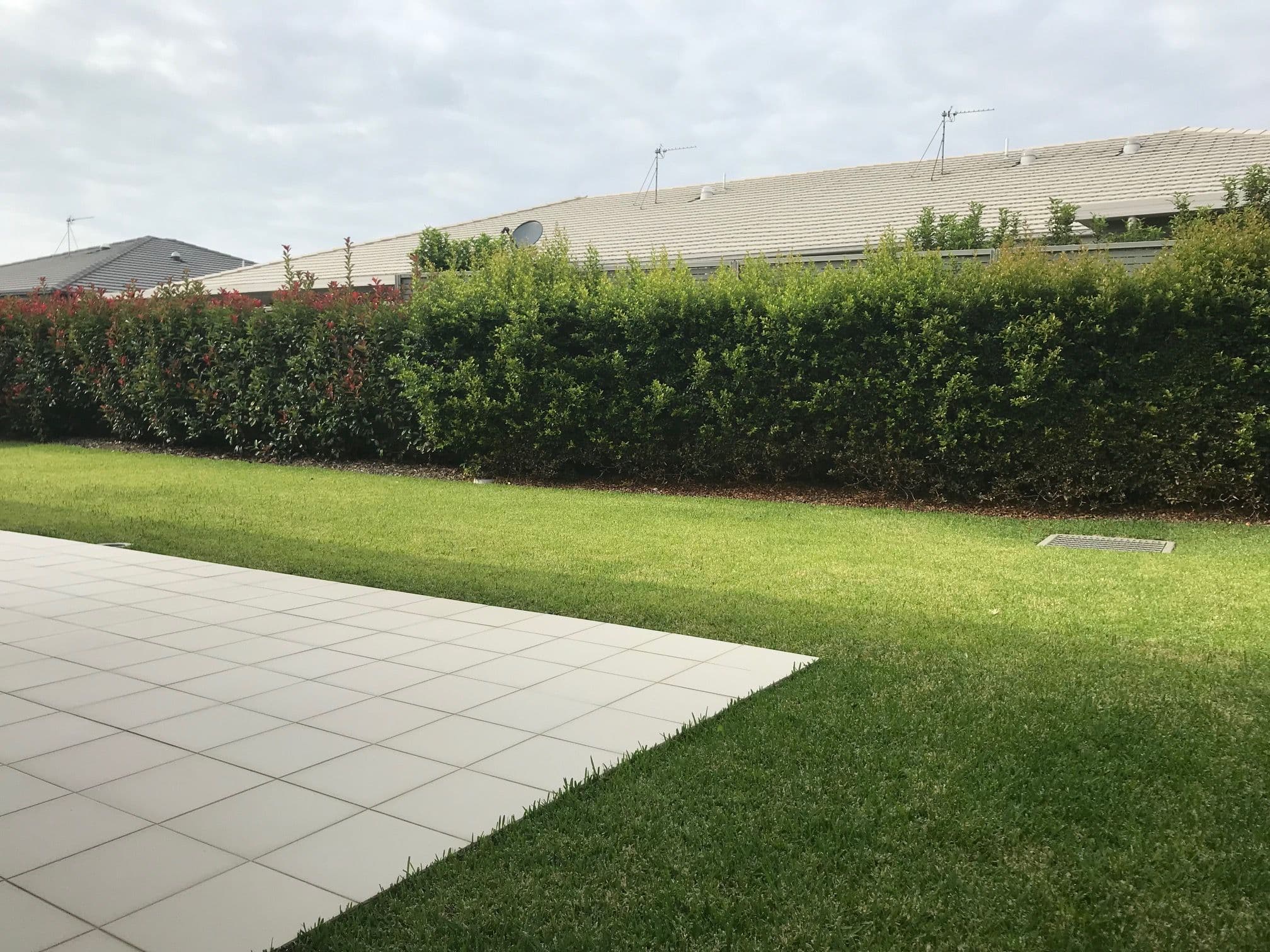 7 Heron Circuit, Fullerton Cove - Thumbnail 6