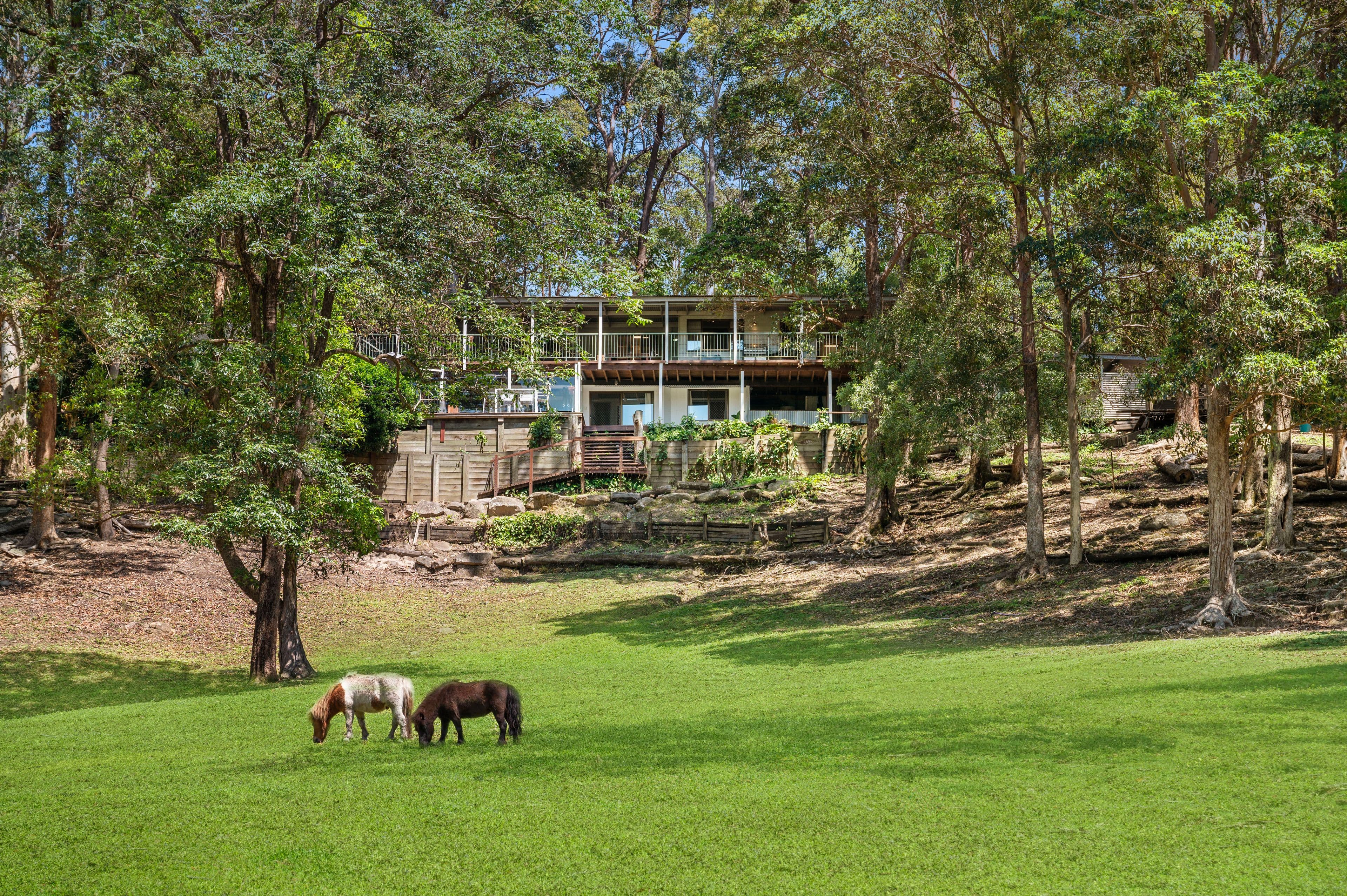 56 Lara Drive, Buderim QLD 4556, Buderim - Thumbnail 3