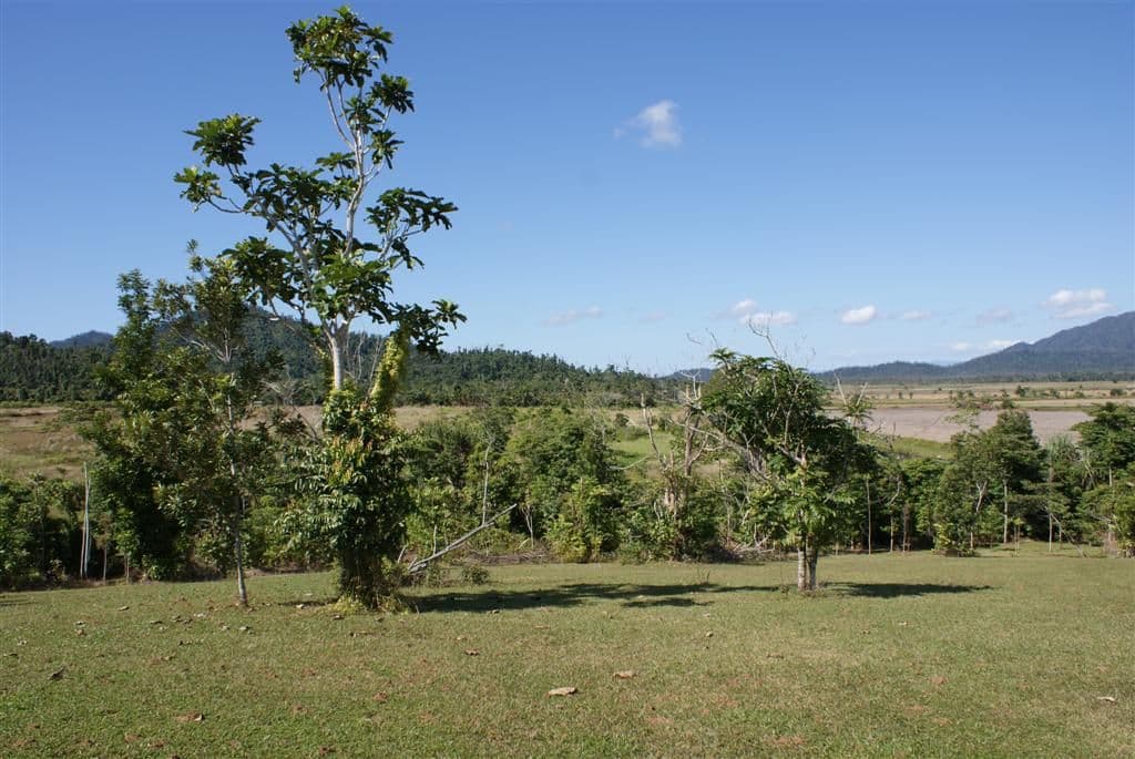 EAST FELUGA QLD 4854, East Feluga - Image 1