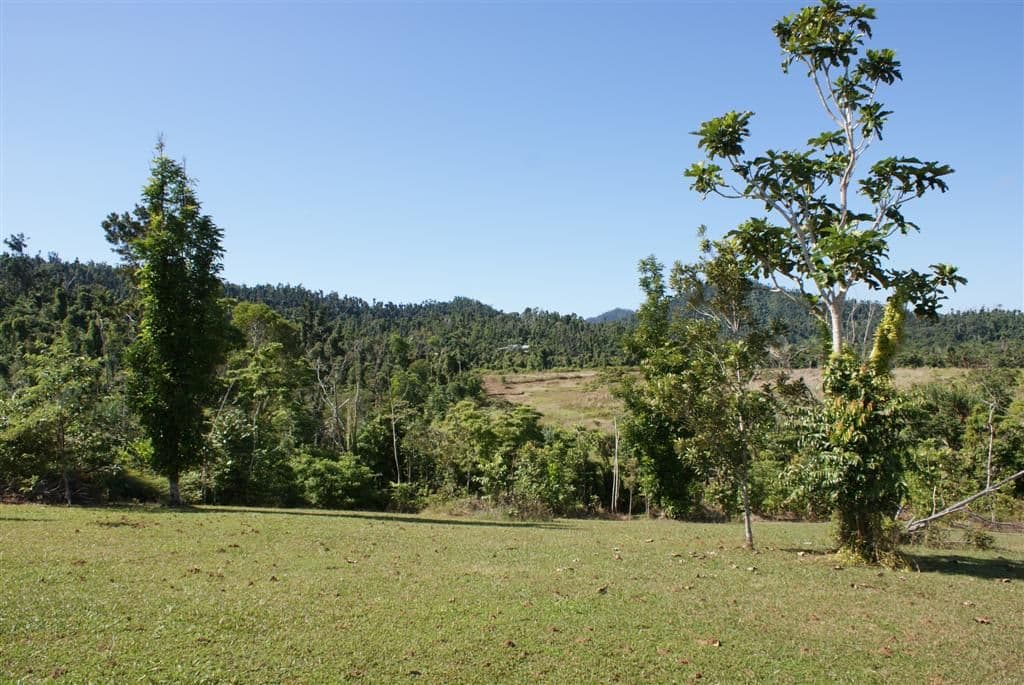 EAST FELUGA QLD 4854, East Feluga - Thumbnail 6