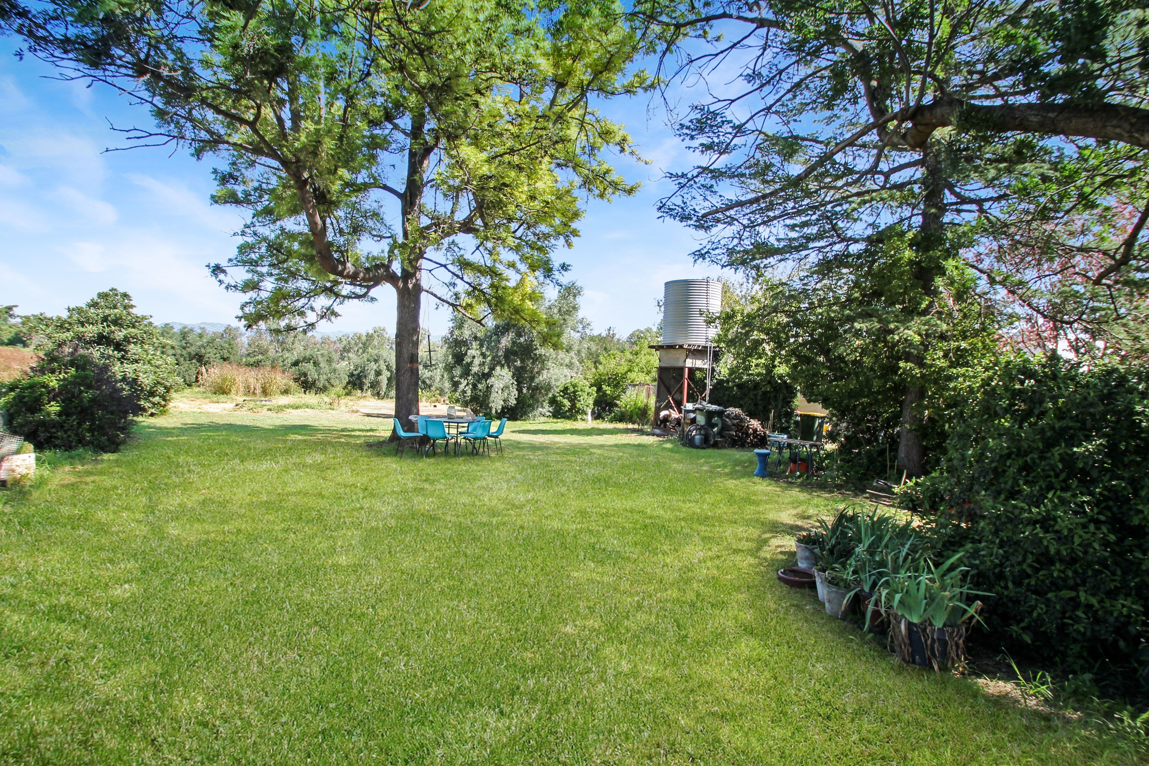 2 Coral Street, Willow Tree NSW 2339, Willow Tree - Thumbnail 3