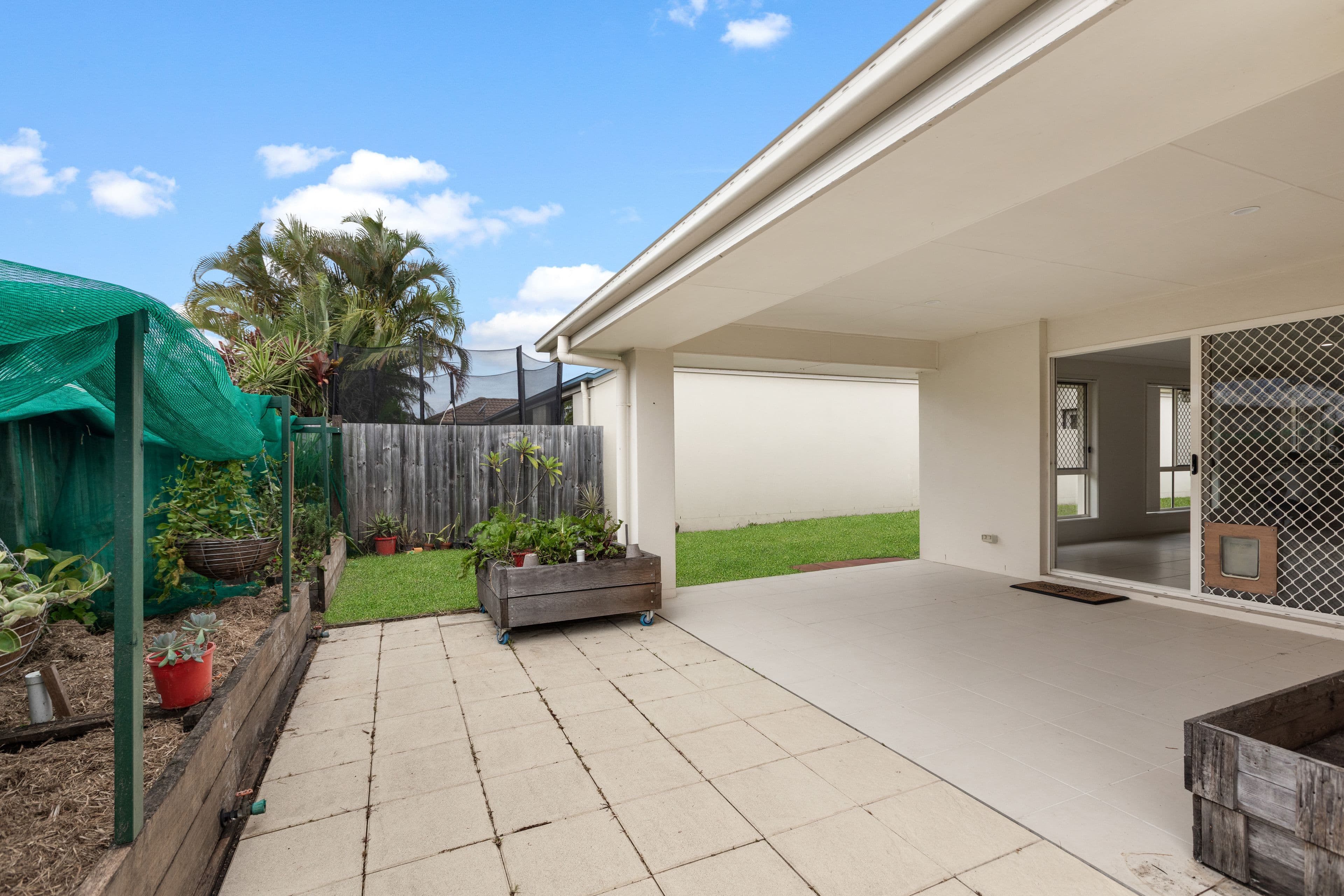 18 Burrows Street, Sippy Downs QLD 4556, Sippy Downs - Thumbnail 3