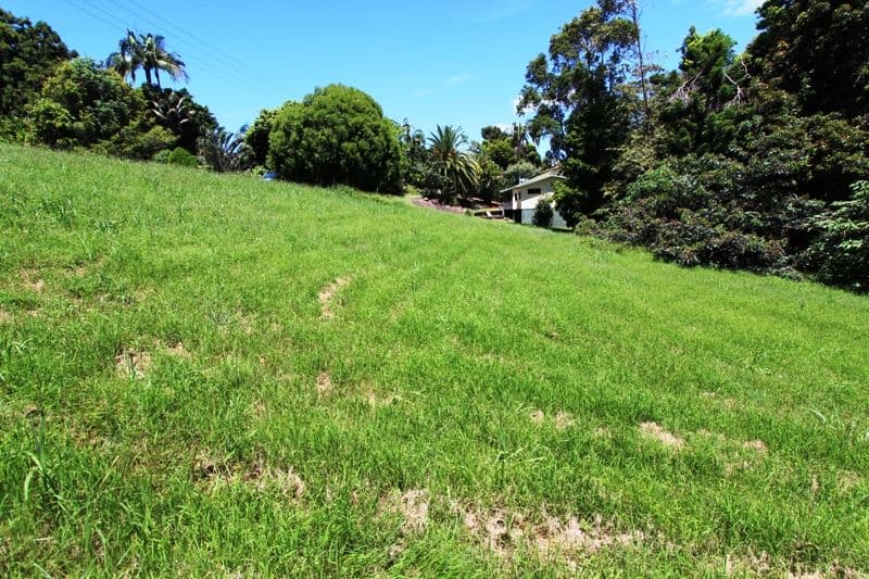 22 Cedar Drive, Dunoon NSW 2480, Dunoon - Thumbnail 3
