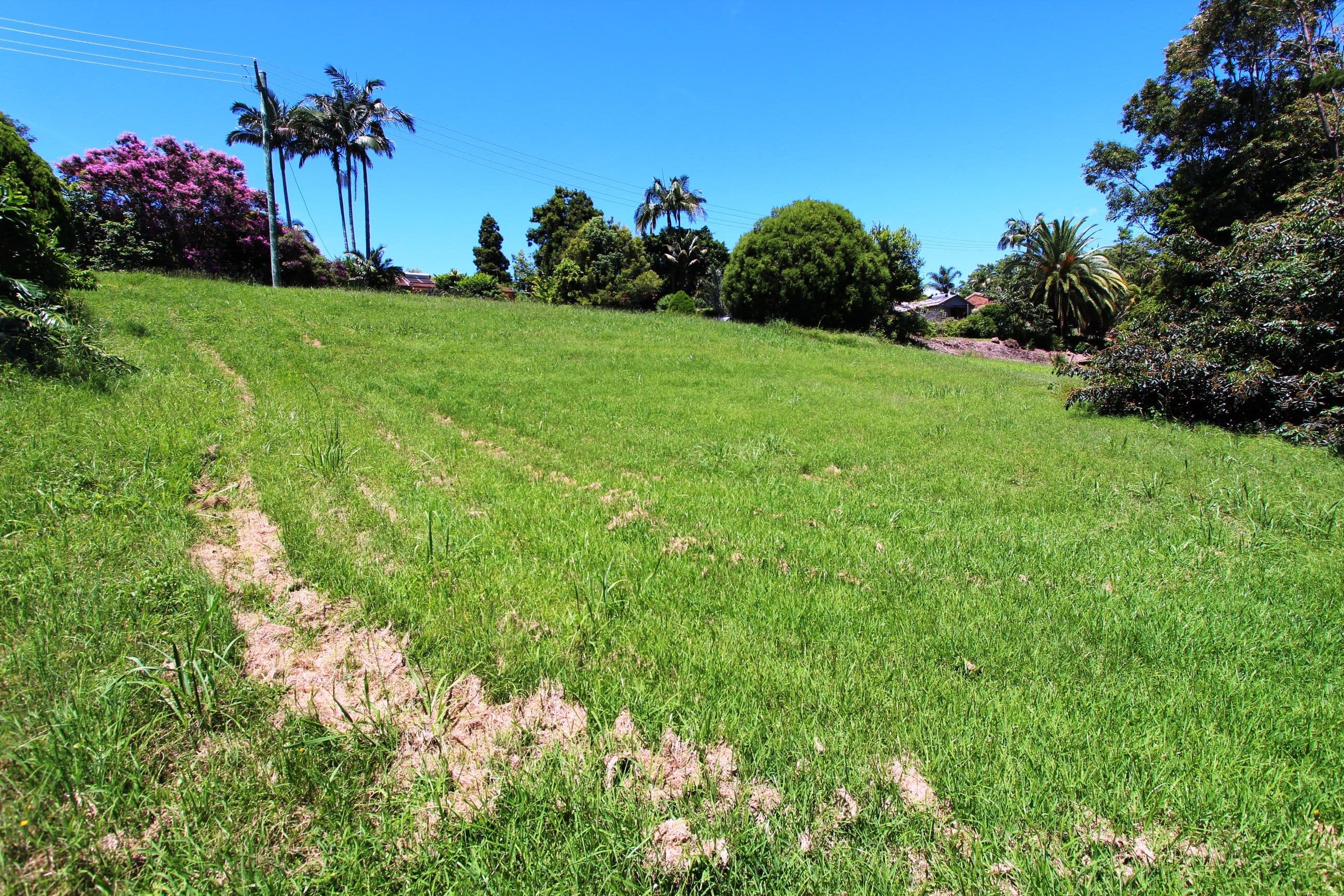 22 Cedar Drive, Dunoon NSW 2480, Dunoon - Thumbnail 4
