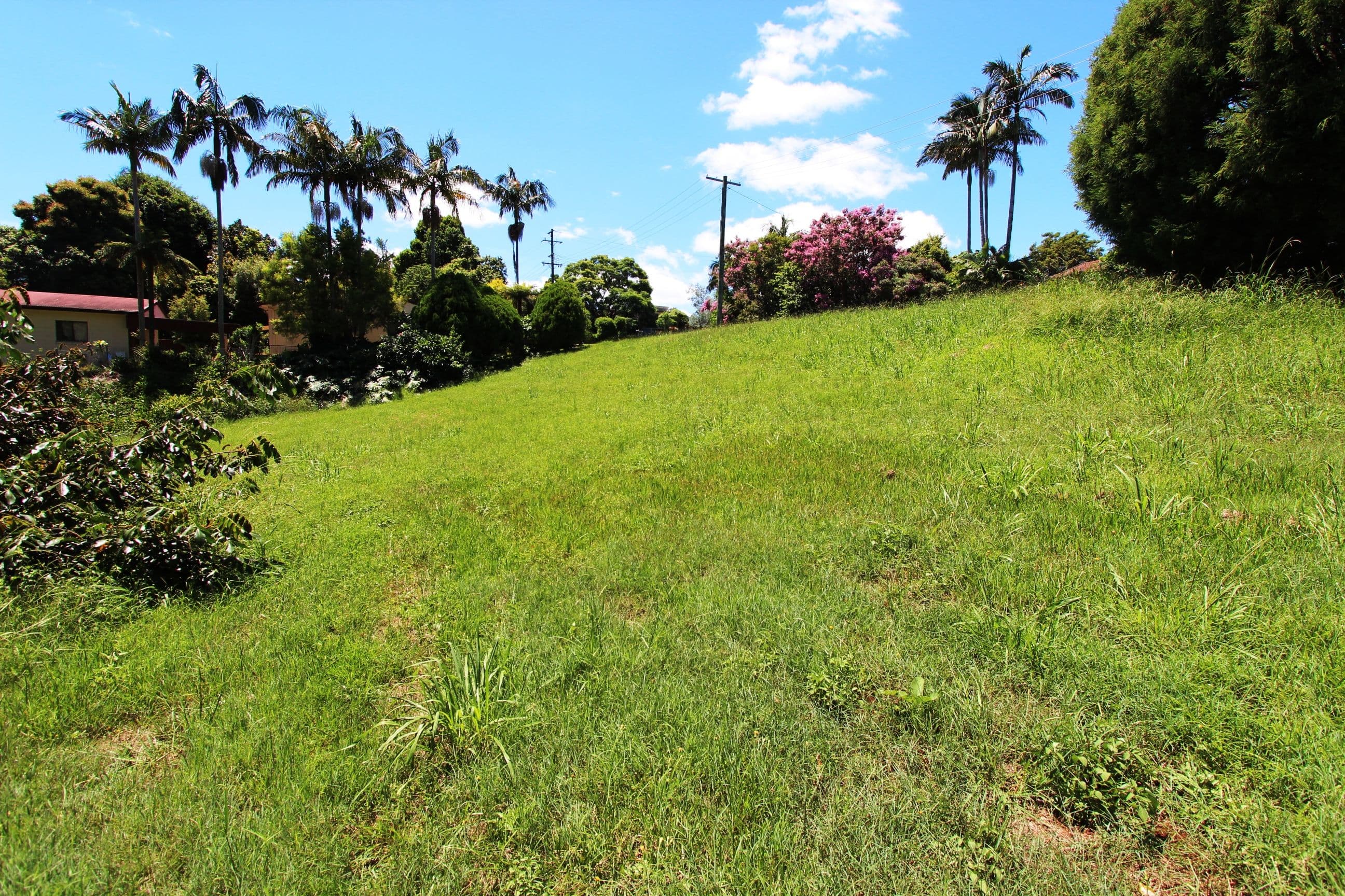 22 Cedar Drive, Dunoon NSW 2480, Dunoon - Thumbnail 5