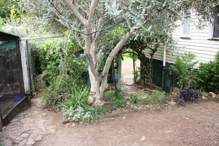 1  Mahoney Street, MUNDUBBERA QLD 4626, Mundubbera - Thumbnail 7