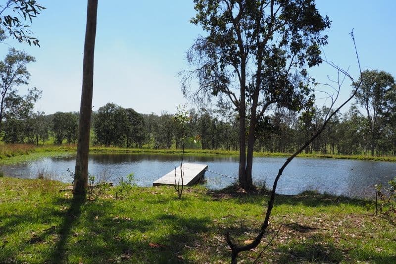 961 Glenbar Road, Woocoo QLD 4620, Woocoo - Thumbnail 2