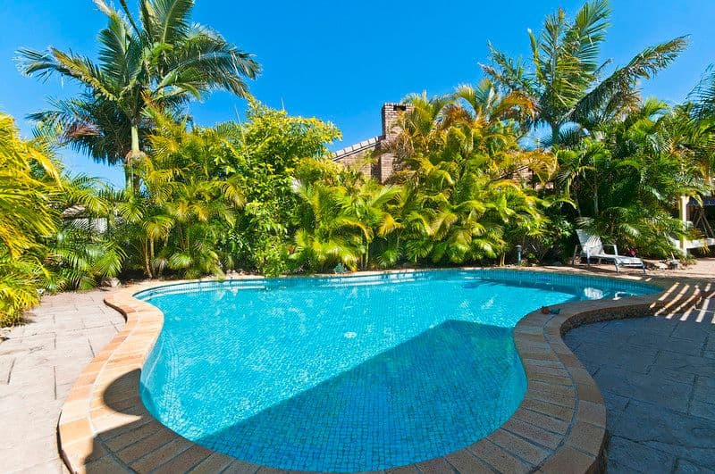 17 Blackbean Court, ELANORA QLD 4221, Elanora - Thumbnail 6