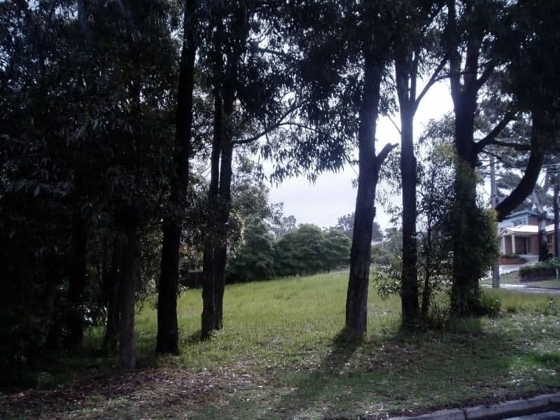 75 Tallwood Avenue, MOLLYMOOK NSW 2539, Mollymook Beach - Thumbnail 3