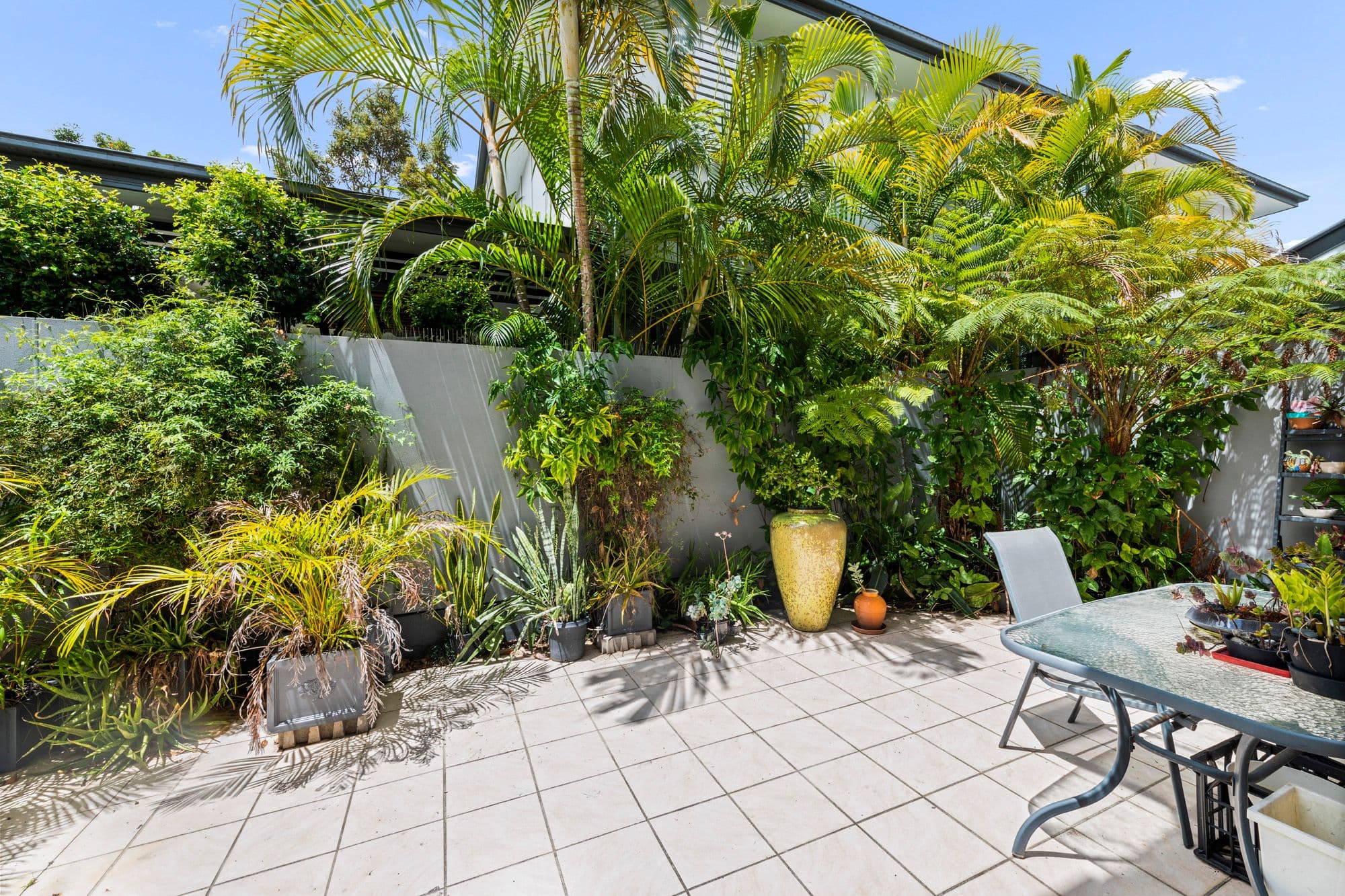 15 Hampden Street, Ascot QLD 4007, Ascot - Thumbnail 7