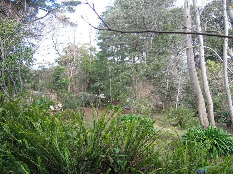 18  Griffiths Road, UPWEY VIC 3158, Upwey - Thumbnail 4