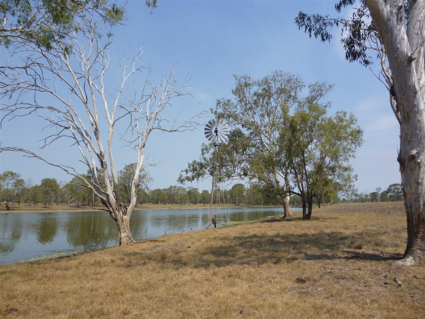MIDGEE QLD 4702, Midgee - Image 1