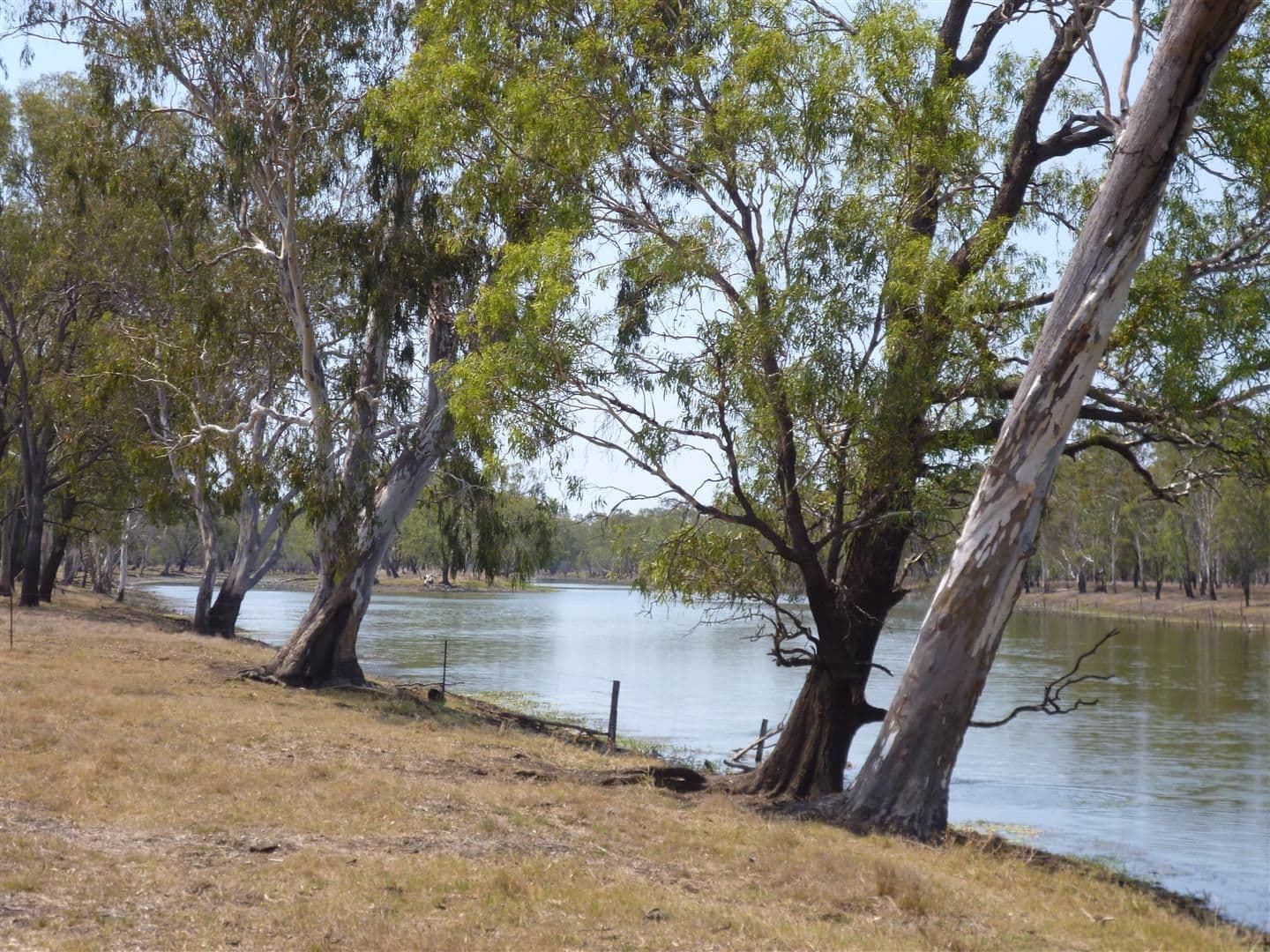 MIDGEE QLD 4702, Midgee - Thumbnail 4