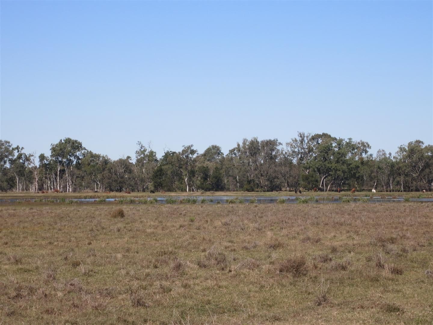 MIDGEE QLD 4702, Midgee - Thumbnail 7
