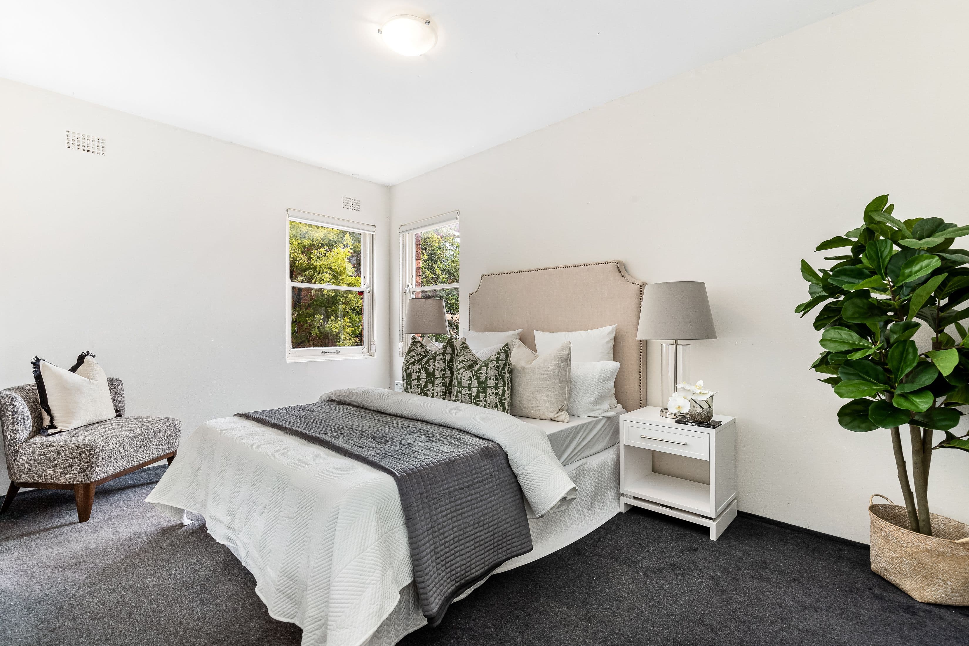 102 Botany Street, Kingsford NSW 2032, Kingsford - Thumbnail 6