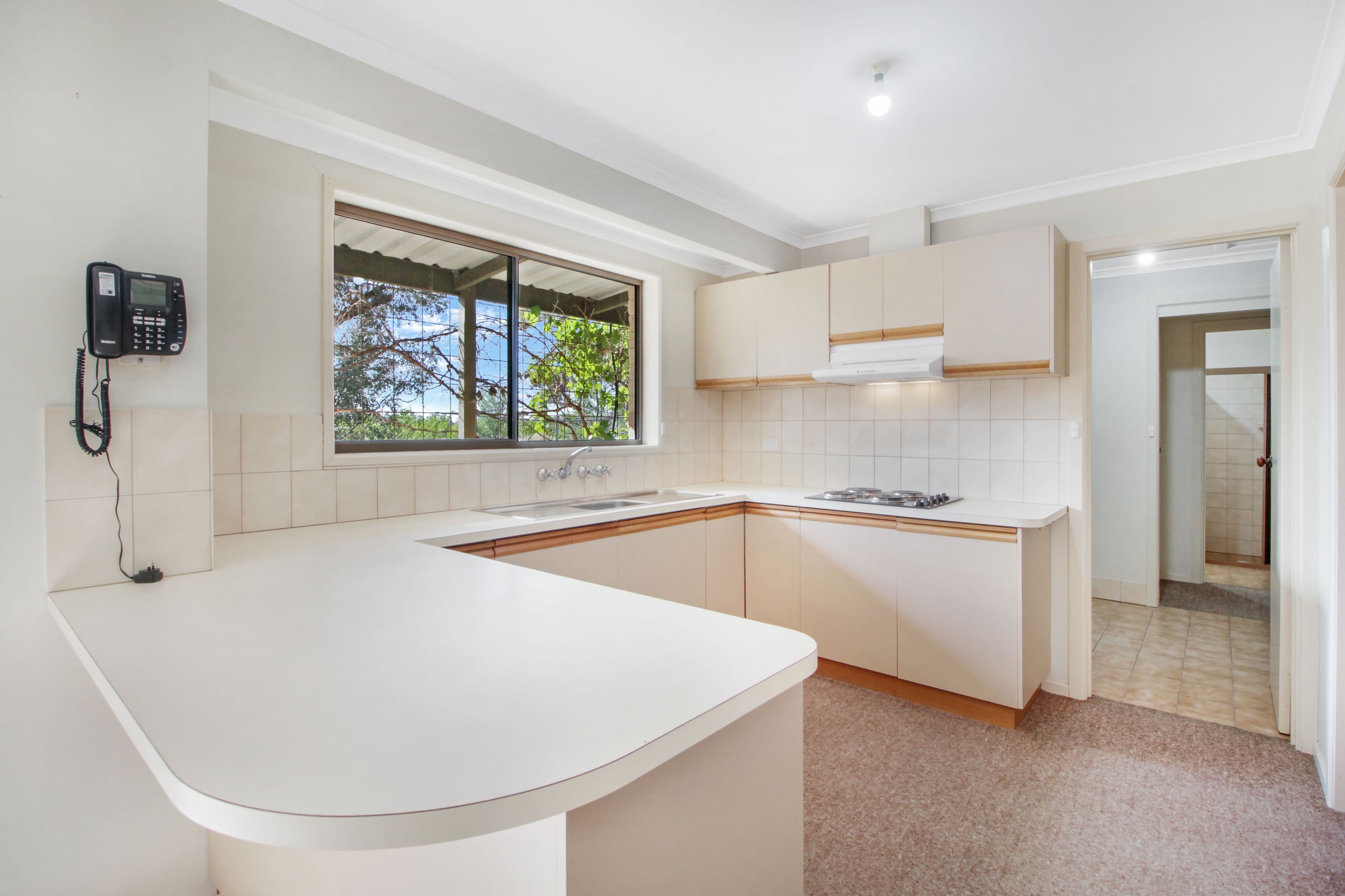 295 Arumpo Street, Renmark SA 5341, Renmark West - Thumbnail 2